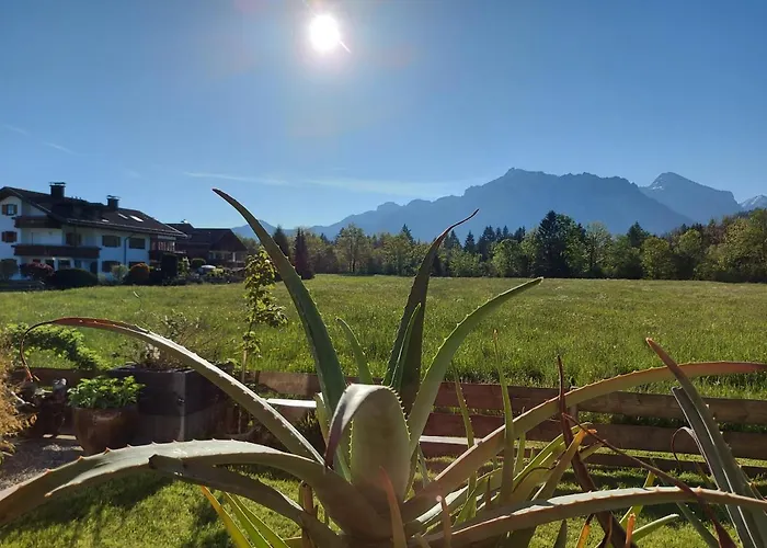 Ferienbungalow Schlossblick Apartamento *