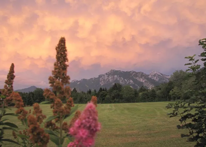 Ferienbungalow Schlossblick Apartamento Füssen
